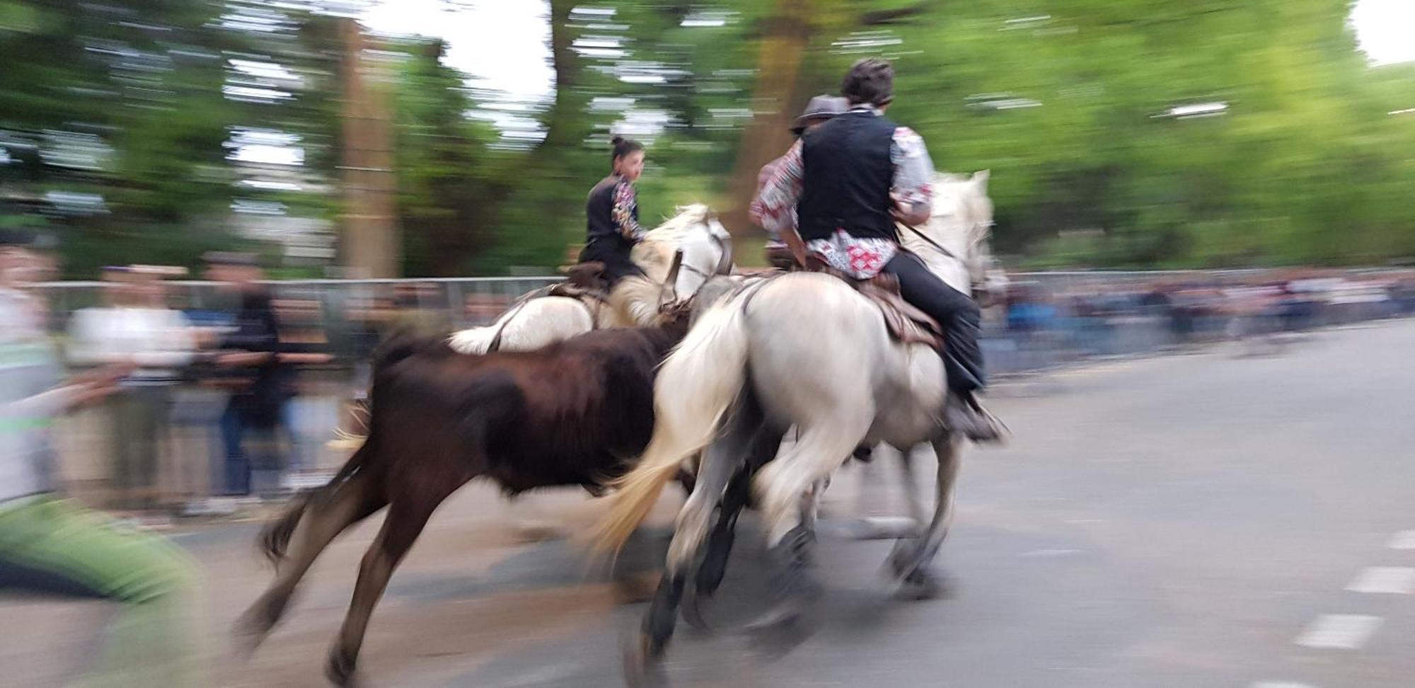 Отель Le Cheval Blanc Арль Экстерьер фото